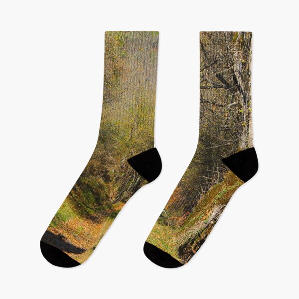 Item preview, Forest path designed and sold by AHELENE.