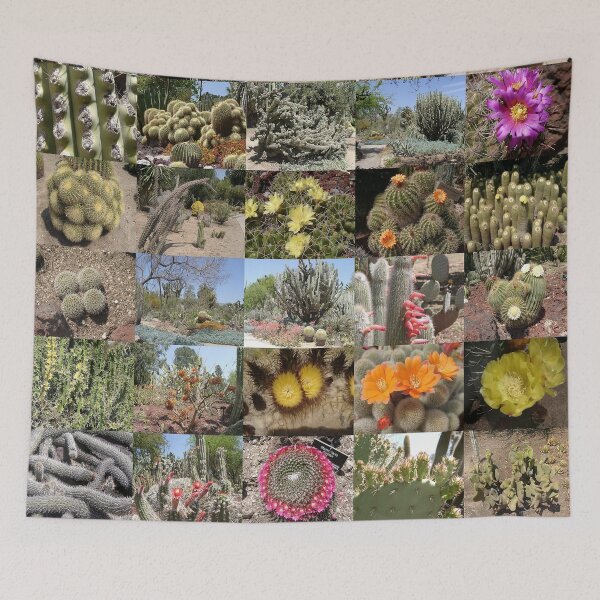 Item preview, Cactus designed and sold by Montage-Madness.