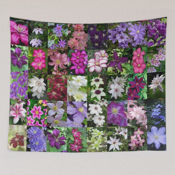 Item preview, Clematis designed and sold by Montage-Madness.