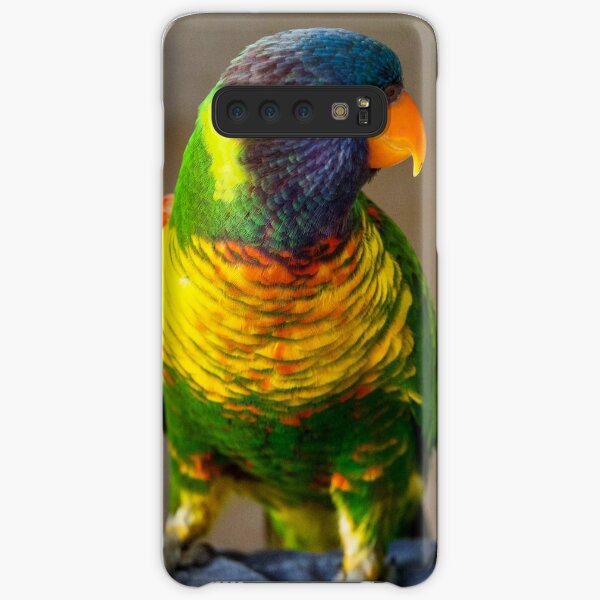 Rainbow Lorikeet Samsung Galaxy Snap Case