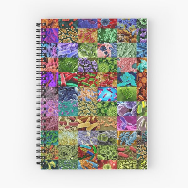 Item preview, Las bacterias designed and sold by Montage-Madness.