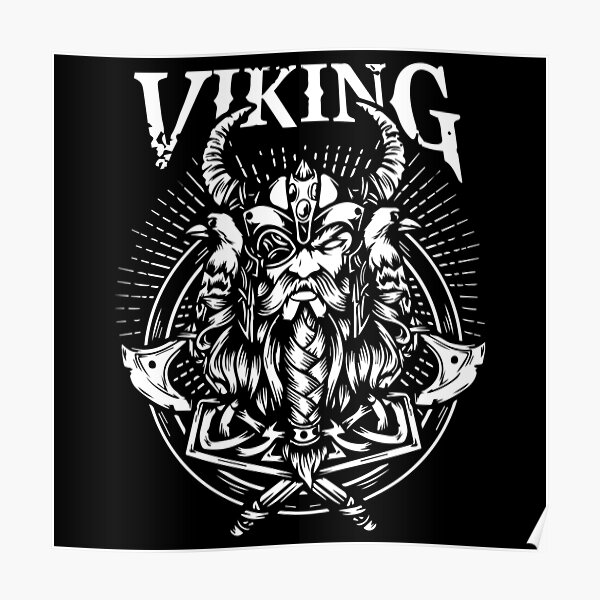 Norway viking Poster