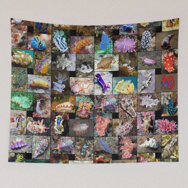 Item preview, Sea Slugs designed and sold by Montage-Madness.