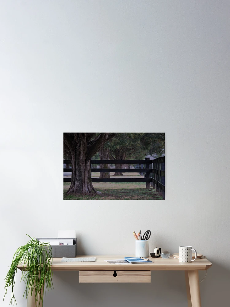 Thumbnail 2 of 3, Poster, Cedar Row designed and sold by InGFocus.