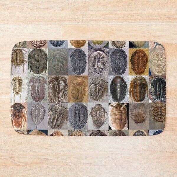 Item preview, Trilobites designed and sold by Montage-Madness.