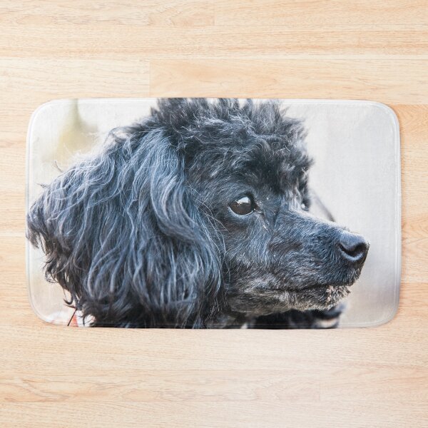 Item preview, The boss poodle designed and sold by KensLensDesigns.