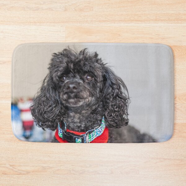 Item preview, Lap Dog designed and sold by KensLensDesigns.