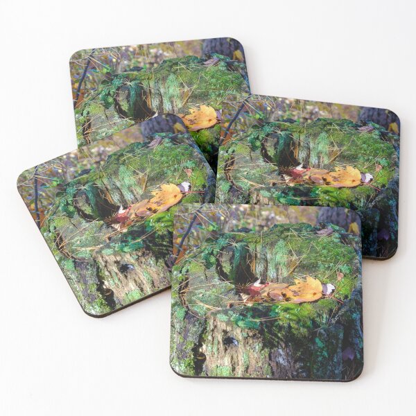 Item preview, Colorful stump with a yellow leaf - fall in Canada designed and sold by VadimK.