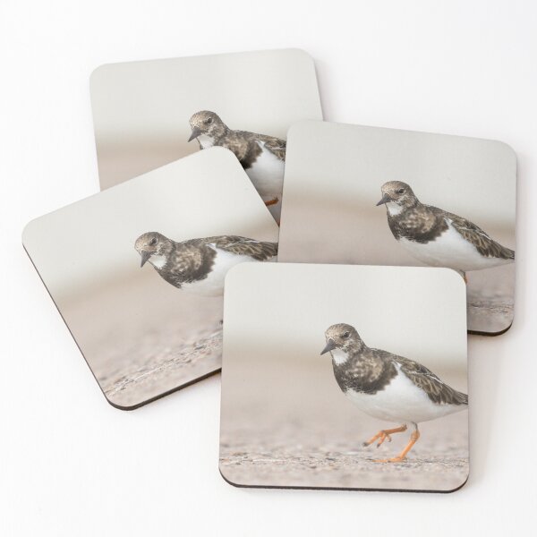 Item preview, Turnstone designed and sold by LaurenTucker.