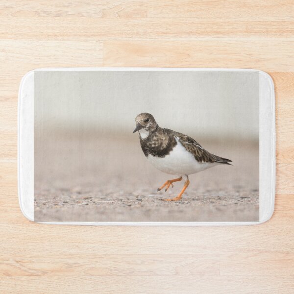 Item preview, Turnstone designed and sold by LaurenTucker.