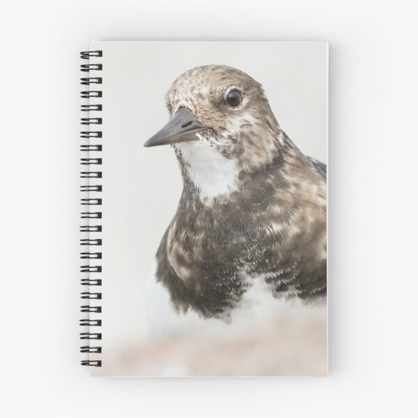 Item preview, Turnstone designed and sold by LaurenTucker.
