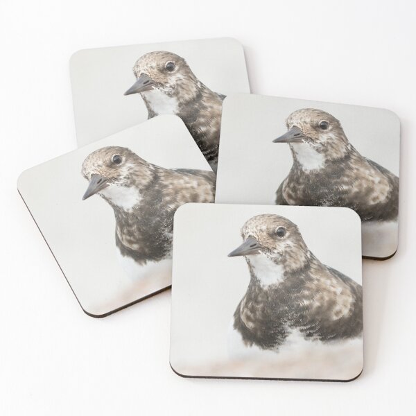 Item preview, Turnstone designed and sold by LaurenTucker.