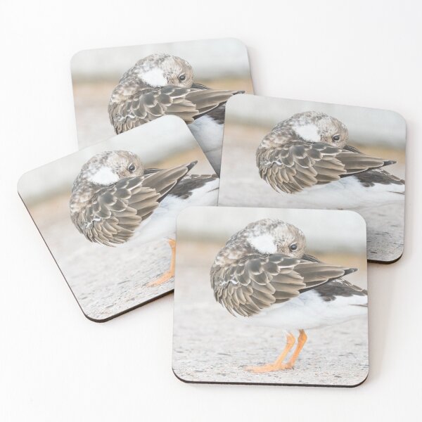 Item preview, Turnstone designed and sold by LaurenTucker.