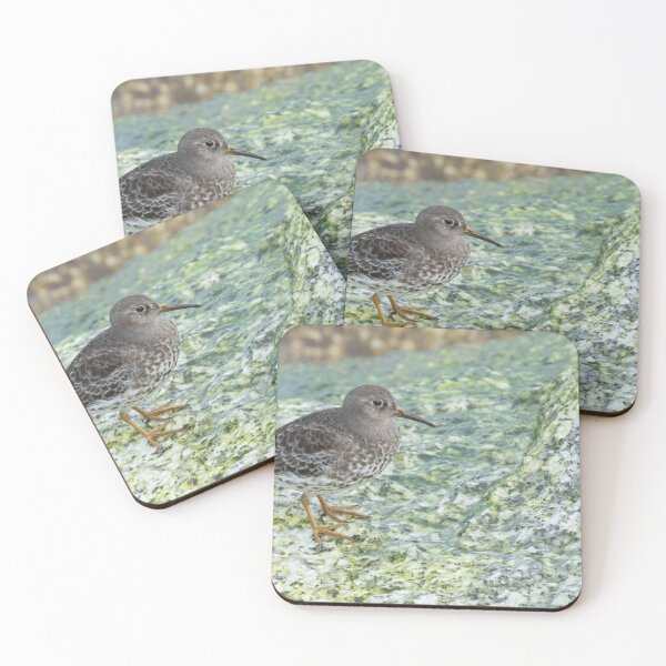 Item preview, Purple Sandpiper designed and sold by LaurenTucker.