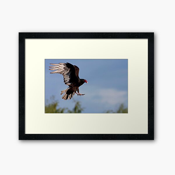 Prepared for Landing Framed Art Print