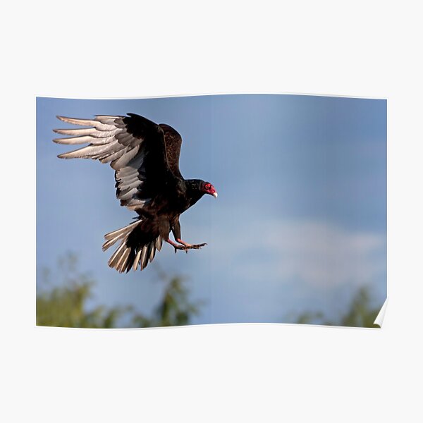 Prepared for Landing Poster