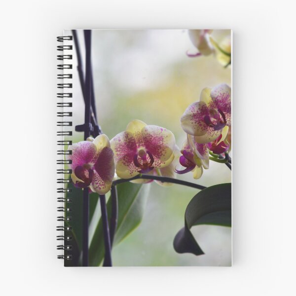 Item preview, 'Orchid Family' by Stringer Things designed and sold by stringerthings.