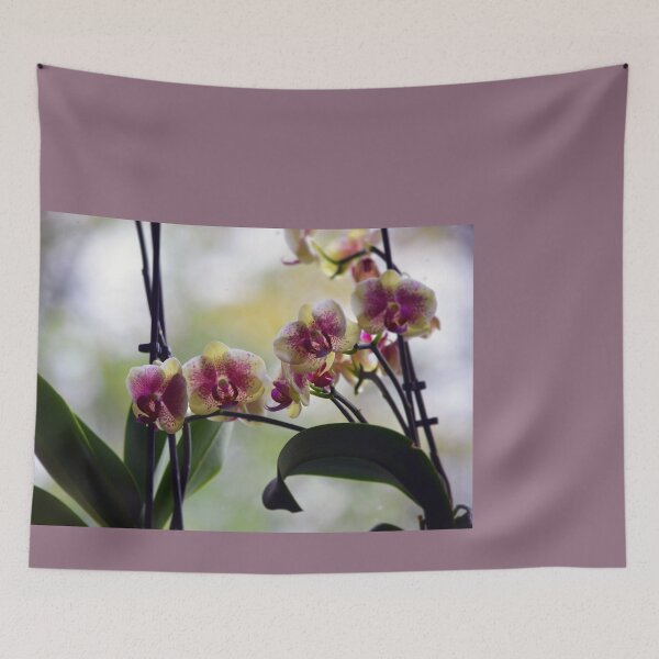 Item preview, 'Orchid Family' by Stringer Things designed and sold by stringerthings.