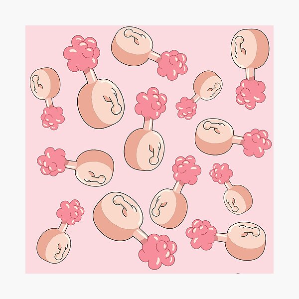 Plumbus Photographic Prints | Redbubble