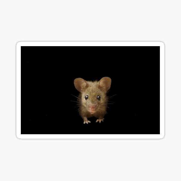 Mouse Sticker