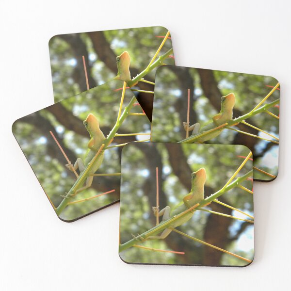 Item preview, Little Ladder designed and sold by NatureRaven.