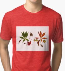 Autumn Potpourri I Tri-blend T-Shirt