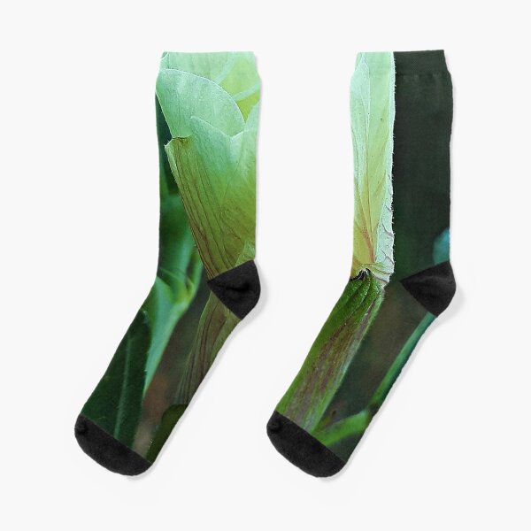 Gumbo Socks for Sale | Redbubble