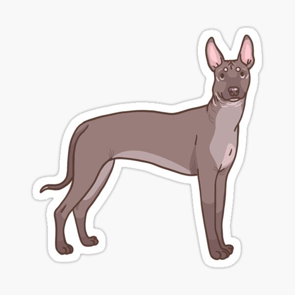 Vista previa del artículo con la obra «Xoloitzcuintli», diseñado y vendido por Illustrate Chrissy.