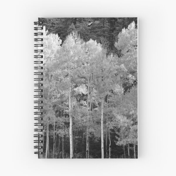 Item preview, Aspens in Fall fine art work A designed and sold by David Lee Thompson.