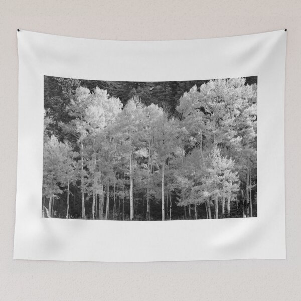 Item preview, Aspens in Fall fine art work A designed and sold by David Lee Thompson.
