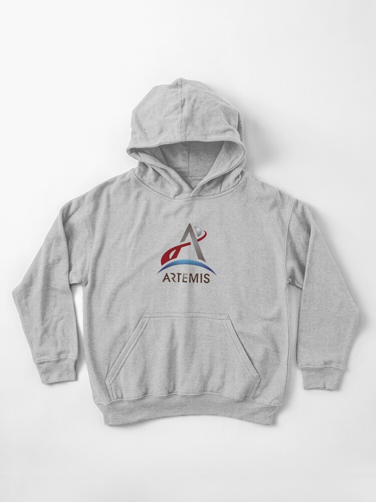 Official nasa hoodie 2025