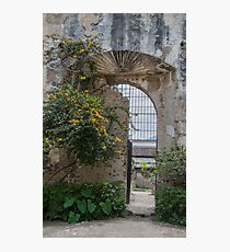 New Life by Old Wall and Gate in Antigua, Guatemala Photographic Print