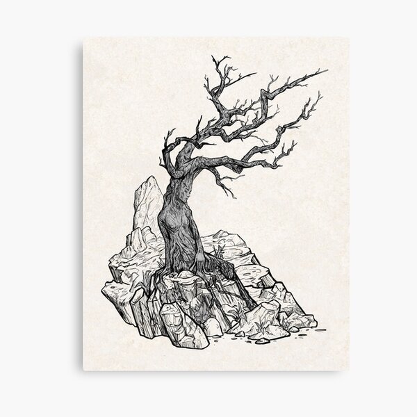 Enchanted Canvas Print