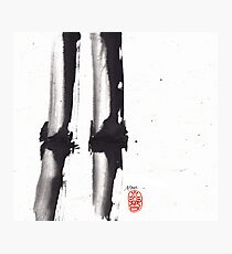 Bamboo Sumi-e Photographic Print