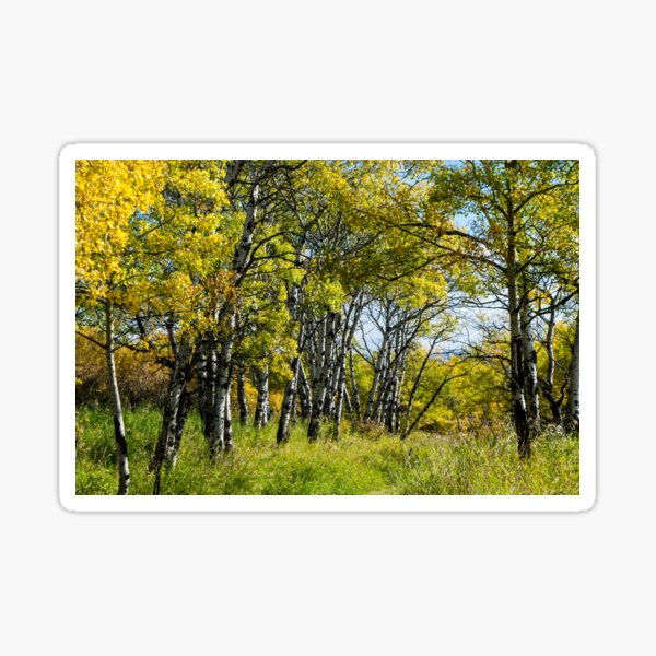 Item preview, Fall scenery designed and sold by CanadianWild418.