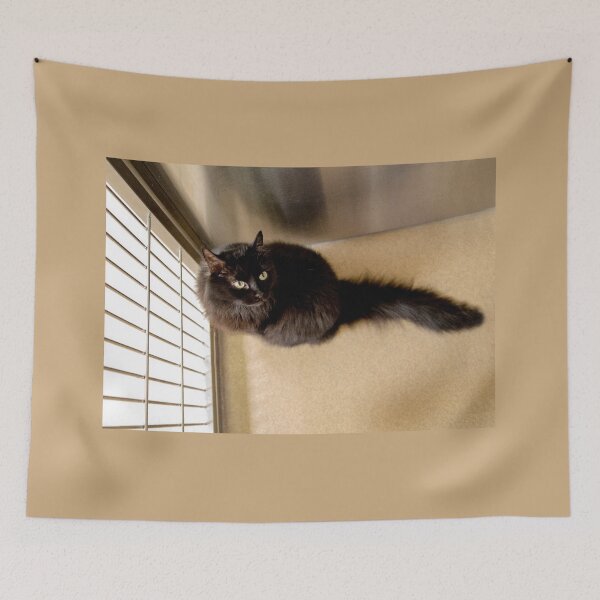 Item preview, Black Cat designed and sold by CarolM.