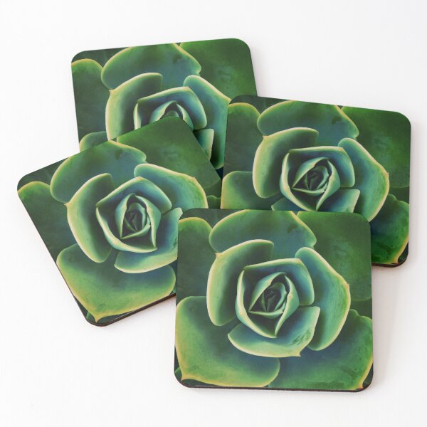 Item preview, DARKSIDE OF SUCCULENTS XIII Botanical 555, designed and sold by Pia Schneider.