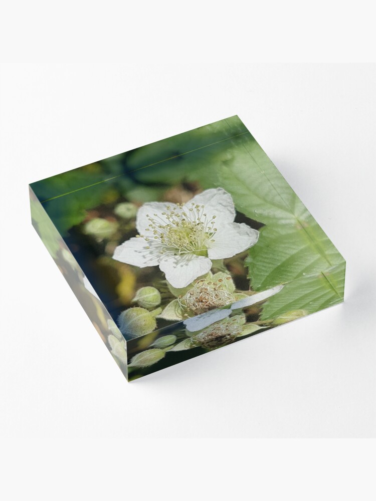 Alternate view of Bramble Blossom Acrylic Block
