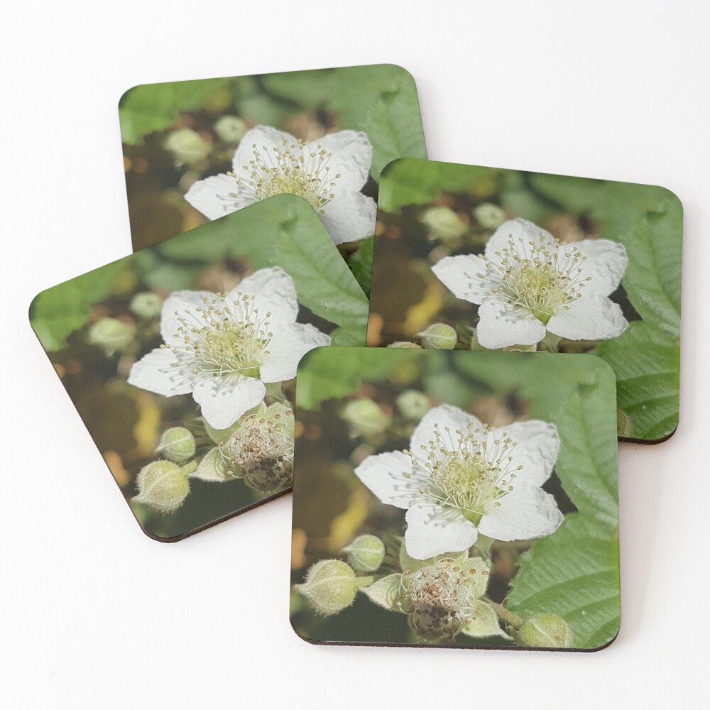 Bramble Blossom Coasters (Set of 4)
