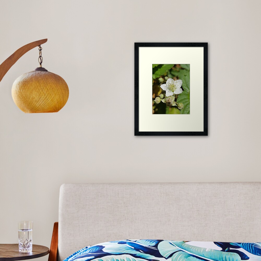 Bramble Blossom Framed Art Print