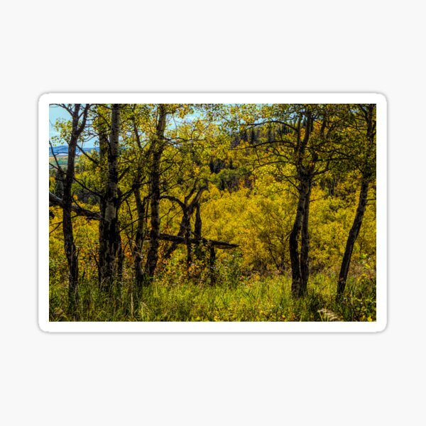 Item preview, The bush designed and sold by CanadianWild418.