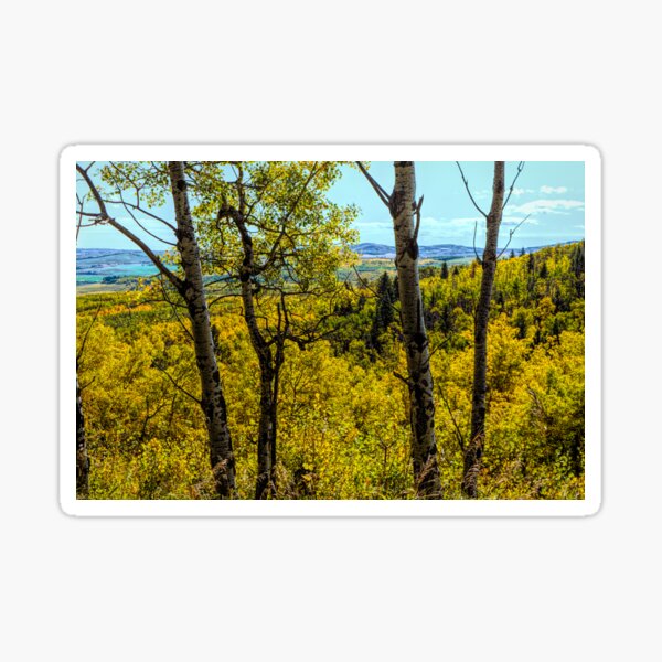 Item preview, View through the trees. designed and sold by CanadianWild418.