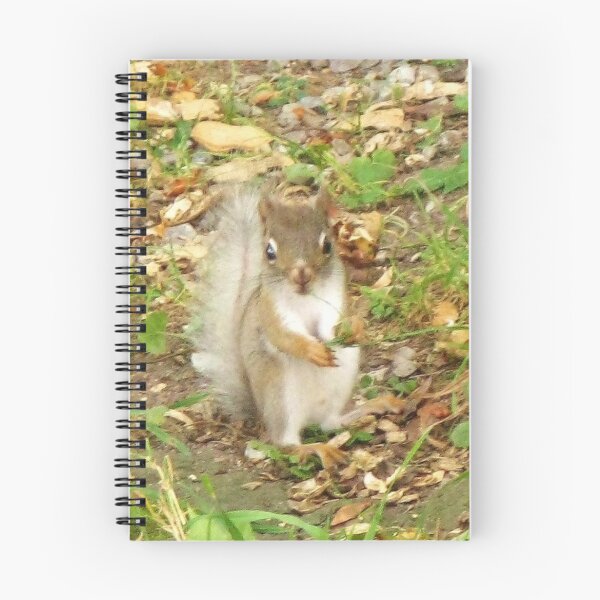 Item preview, Leucistic American Red Squirrel ~ Growing Apace designed and sold by artwhiz47.