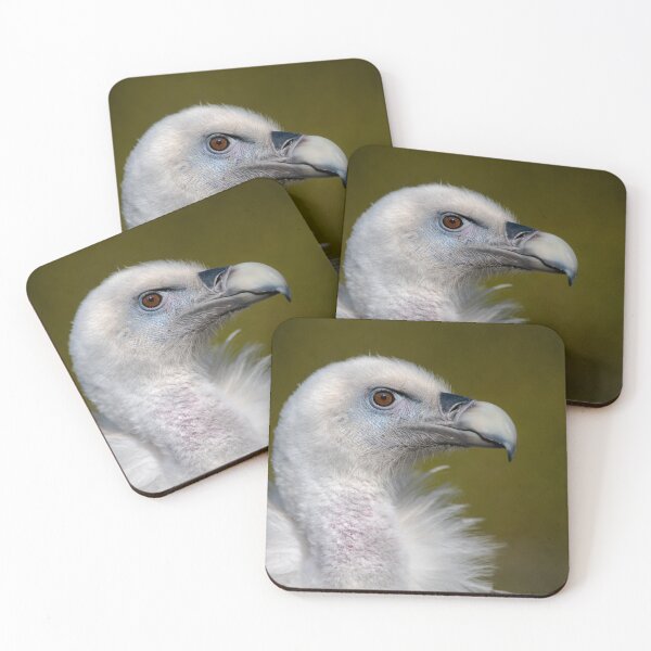 Item preview, Portrait of a Eurasian griffon vulture designed and sold by alan tunnicliffe.