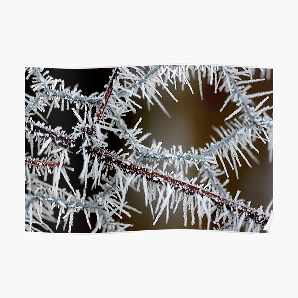 fragile garland Poster