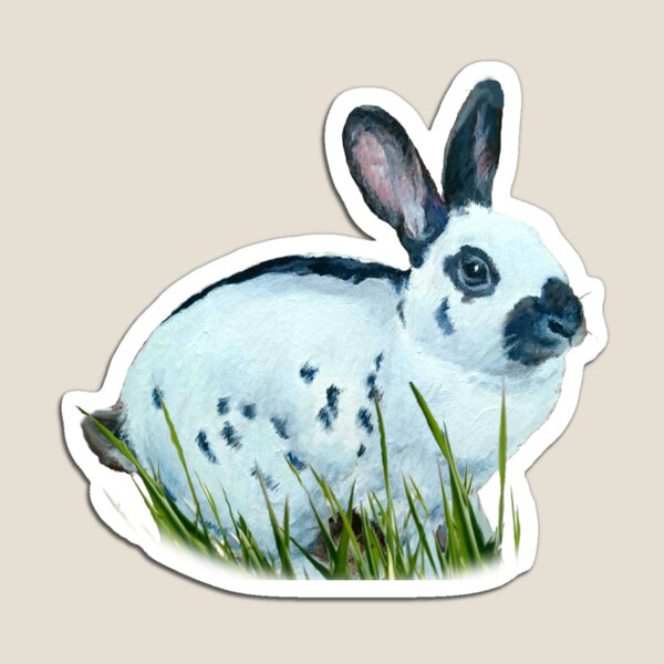Beautiful Cody English spot bunny Magnet