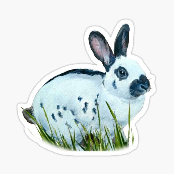 Beautiful Cody English spot bunny  Sticker
