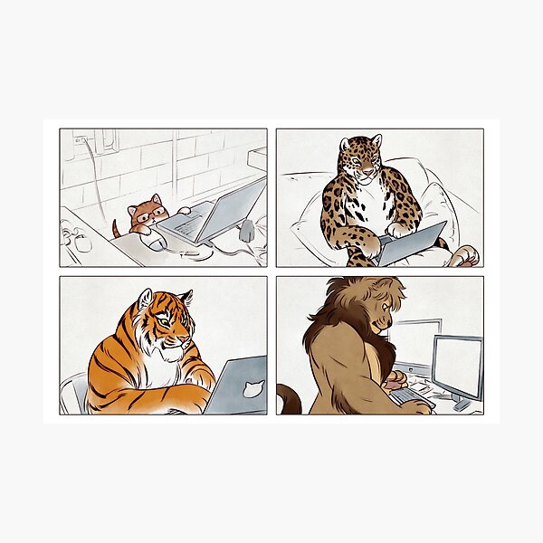 Cat Bros Photographic Print