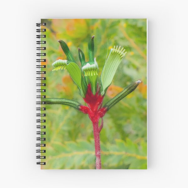 Item preview, Western Australia - Floral emblem - Kangaroo Paw designed and sold by DPalmer.