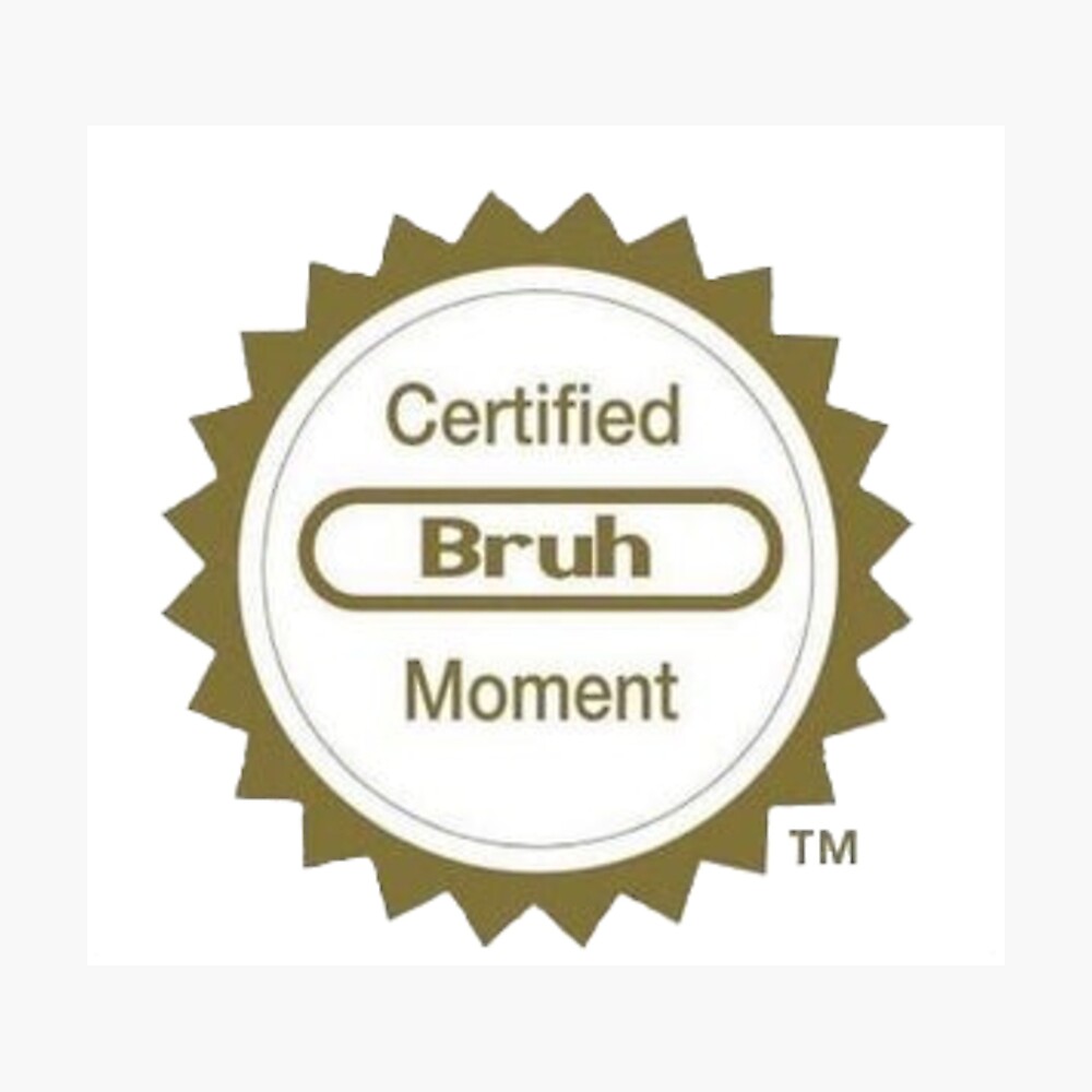 bruh moment bruh meme